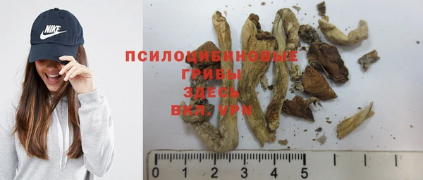 бутират Арсеньев