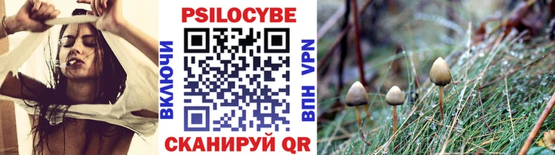 Псилоцибиновые грибы MAGIC MUSHROOMS  Феодосия 